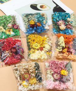 Hoa khô trang trí, decor, makeup, hoa khô decor đèn ngủ handmade